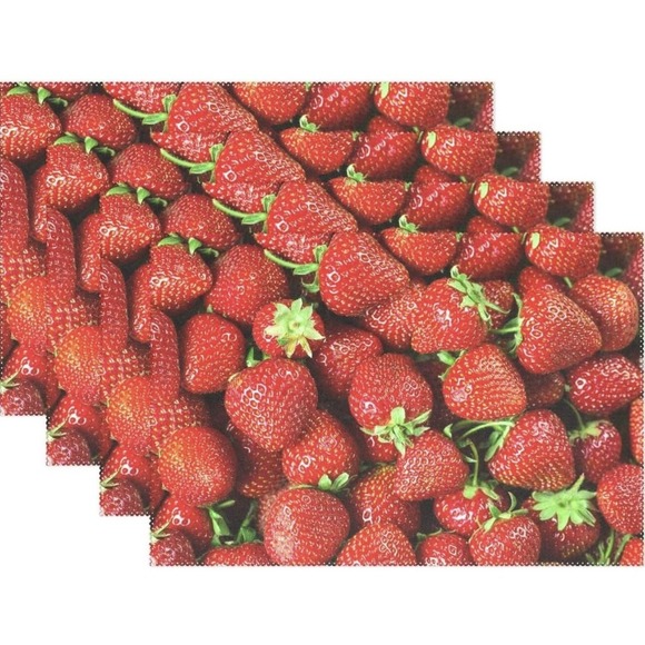 NEW Strawberry Fabric Placemats Rectangle Reversible Set of 4 Picnic Patio Set - Picture 1 of 4